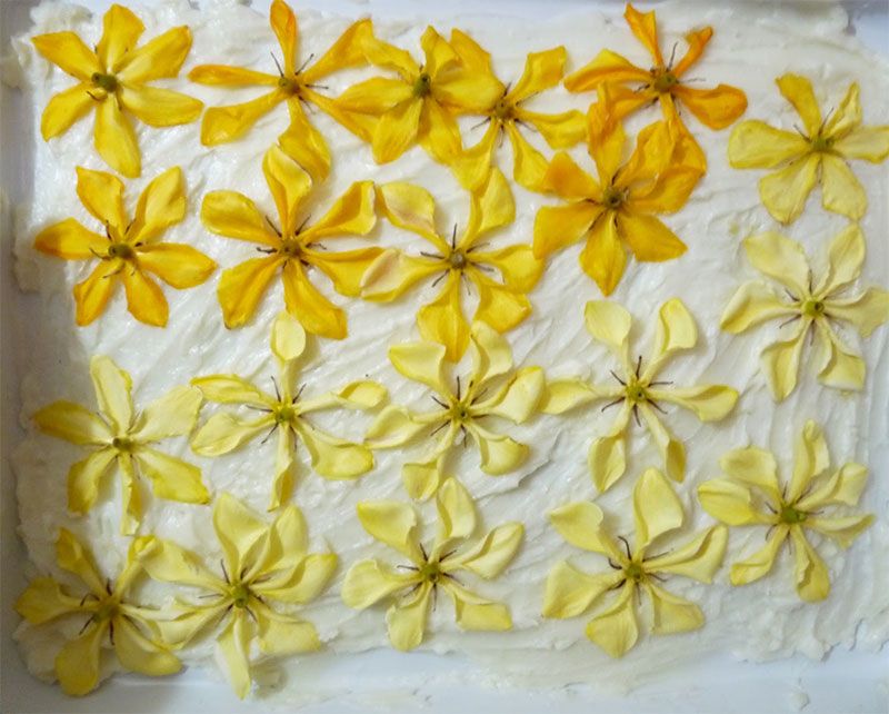 blog by-cosmetics эфирные масла