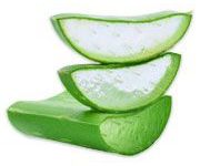 by-cosmetics алоэ барабаденсис