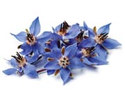 by-cosmetics масло огуречника