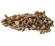 by-cosmetics масло семян Моркови