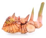 by-cosmetics Alpinia Galanga (Galangal) Root