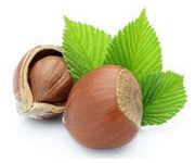 by-cosmetics масло Лесного ореха