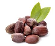 by-cosmetics масло жожоба