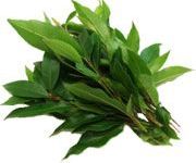 by-cosmetics масло лимона Myrtle