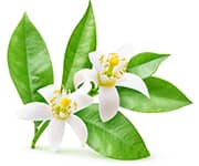 by-cosmetics масло нероли