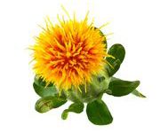 by-cosmetics Safflower