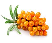 by-cosmetics Sea Buckthorn