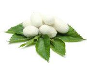 by-cosmetics Hydrolyzed Silk Peptides