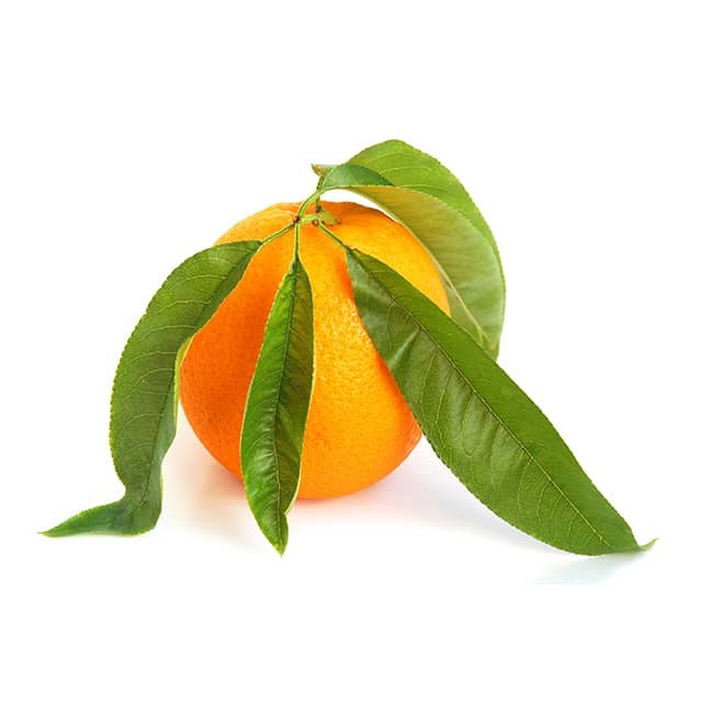 sweet_orange